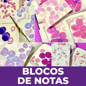 Blocos de notas