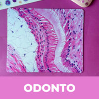 Categoria site odontologia