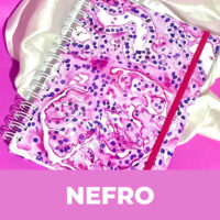 Categorias site nefro