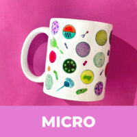 Categorias site micro