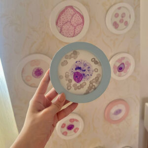 Aquarela - Macrófago