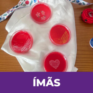 Ima