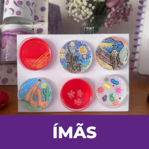 Ima